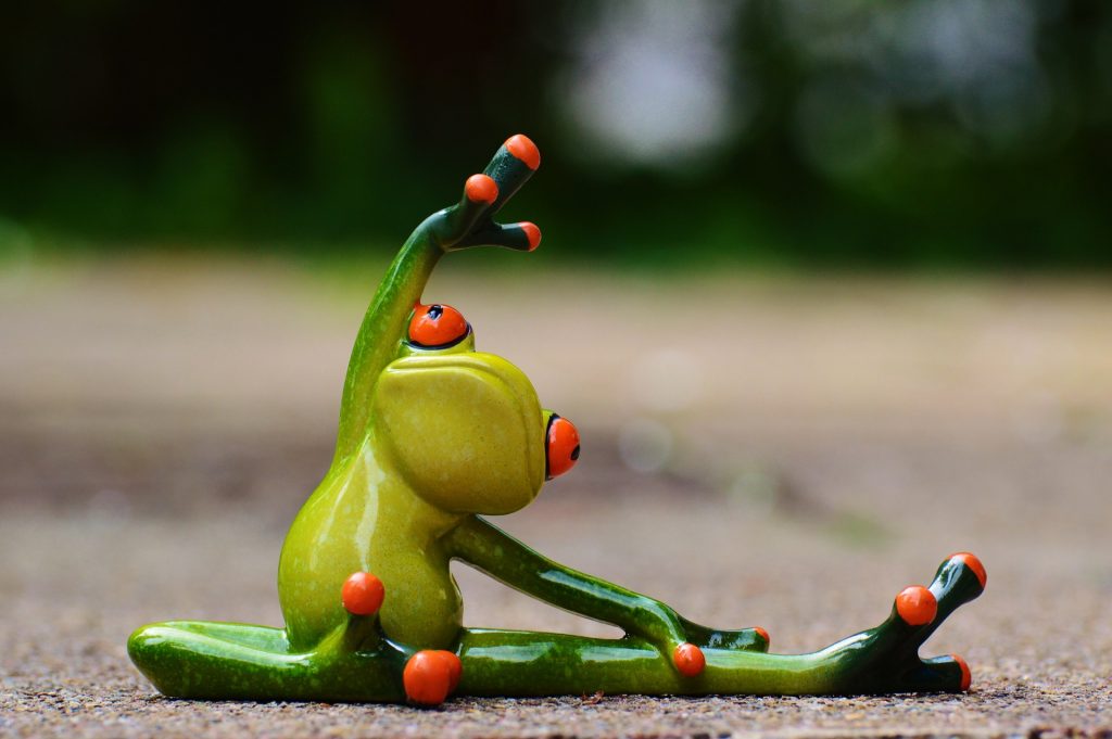 stretching green frog